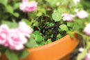 Rain Bird PATIOKIT Drip Irrigation Kit, 1/4" | 42-Piece Kit | Patio Watering Kit — 5