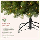 Treetopia Grand Evergreen Fir - Artificial Indoor Christmas Tree, Prelit with LED Clear Lights, Hinged Branches, Holiday Décor, 6ft — 5