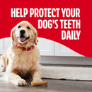 Milk-Bone Brushing Chews Large Daily Dental Dog Treats, 33.7 oz Bag