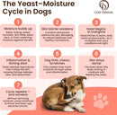COAT DEFENSE Paw Licker Bundle | Daily Preventative Powder & Shampoo for Allergies and Itching | Yeast Infection Treatment for Dogs | Dog Shampoo Itchy Skin Relief | Dry Shampoo Yeast Powder for Dogs — 3