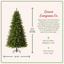 Treetopia Grand Evergreen Fir - Artificial Indoor Christmas Tree, Prelit with LED Clear Lights, Hinged Branches, Holiday Décor, 6ft — 2