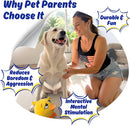 Dog Toy for Aggressive Chewers, Tough Squeaky Chew Ball, Large Breeds Gift