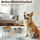 Elevated Dog Bowls for Medium&Small Dogs - Stainless Steel 48oz/6 Cups Raised…