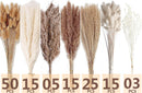 Dried Pampas Grass Decor, 128PCS Pampas Grass with Bunny Tails Dried Flowers, Reed Grass Bouquet for Wedding, Boho Flowers, Home Table Decor, Rustic Farmhouse Party — 2