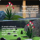 Homight Solar Metal Agave Lily Flower Garden Sculpture with LED Lights 30.3…
