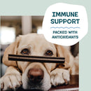 Shameless Pets Blueberry & Mint Dental Chews for Dogs, 8 Chews - Natural Dog…