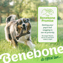 Benebone Wishbone Durable Dog Chew Toy for Aggressive Chewers, Real Bacon,…