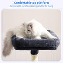 Heybly Cat Tree with Toy, 43.3 inch Cat Tower for Indoor Cats HCT004SG — 2