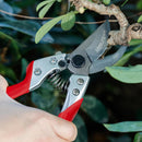 Kimura® 8" Pro Bypass Pruning Shears, Heavy Duty Japanese SK5 Steel Blades, 1 inch Cut Capacity, Non-Slip PVC Coated Handles, Lightweight & Ergonomic, Japanese Pruners, Professional Garden Clippers — 5