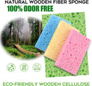 Compressed Cellulose Kitchen Sponges 12Pack，Non-Scratch Biodegradable Natural Colorful Sponge Scrub for Dishes… — 2