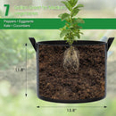FEED GARDEN 7 Gallon Grow Bags 4 Pack – 300G Thickened Non-Woven Fabric Pots Double-Stitched Handles, Breathable Drainage Planters for Peppers,Tomatoes, Strawberries & Flowers, Indoor Outdoor — 2