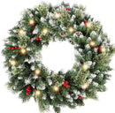 HipTree 24 Inch Lighted Christmas Wreaths for Front Door with Lights — 1