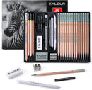 KALOUR 28 Pro Sketching Drawing Pencils Set – 14 Graphite Pencils (14B–5H), Charcoal Pencils, Erasers, Sharpener & Stumps – Complete Art Kit for Artists & Beginner — 1