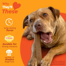 Nylabone Strong Chew Dog Toy 4-Pack, Durable Chew Toys, Large Dogs