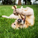 Sosation Bones Shaped Dog Toys for Aggressive Chewers, 2 Pack Christmas Dog…