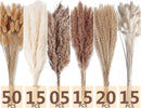 Dried Pampas Grass Decor, 120 PCS Pampas Grass with Bunny Tails Dried Flowers, Reed Grass Bouquet for Wedding, Boho Flowers, Home Table Decor, Rustic Farmhouse Party (White and Brown) | 120PCS — 4