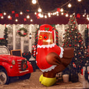 Ceenna 5 ft Large Lighted Christmas Inflatable Chicken Decor, Claus Hen — 5