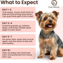 COAT DEFENSE Paw Licker Bundle | Daily Preventative Powder & Shampoo for Allergies and Itching | Yeast Infection Treatment for Dogs | Dog Shampoo Itchy Skin Relief | Dry Shampoo Yeast Powder for Dogs — 5