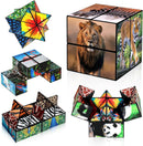 Euclidean Cube Fidget Toys for Kids 2 in 1 Star Cube Magic Cube Puzzle Toys — 1