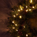 24 Inch Artificial Pre-Lit Christmas Wreath, Mixed Pine Decorated Frosted Berries, Pinecones, 50 LED Lights with Timer, Battery Operated, Holiday Decoration for Front Door, Outdoor — 2