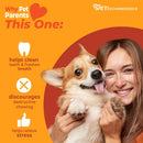 Nylabone Strong Chew Femur Bone Dog Toy, Dog Bone for Aggressive Chewers