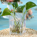 Crtiin 20 Pcs Acrylic Pen Holder Pencil Cup Desk Organizer, Clear — 5