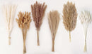 Dried Pampas Grass Decor, 120 PCS Pampas Grass with Bunny Tails Dried Flowers, Reed Grass Bouquet for Wedding, Boho Flowers, Home Table Decor, Rustic Farmhouse Party (White and Brown) | 120PCS — 2