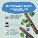 Shameless Pets Blueberry & Mint Dental Chews for Dogs, 8 Chews - Natural Dog…