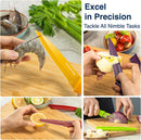 Gourmetop Paring Knife Set of 4, 3.8” Fruit Knife with Cover, German Steel — 4