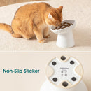 vancasso Ceramic Slow Feeder Cat Bowl, 6.25 Inch Elevated Cat Slow Feeder Bowl, Anti Vomiting for Dry and Wet Food, White — 6