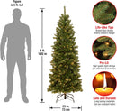 National Tree Company 6ft Pre-Lit North Valley Spruce Slim Christmas Tree — 3