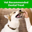 Brand Greenies Large Natural Dental Dog Treats, Original Flavor, 24 Count