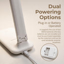 R RUCKERCO Led Desk Lamp Dimmable Desk Light Reading Lamp 3 Lighting Modes, Eye Protection Accessories, Study Desk… — 2