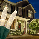 Wintergreen Lighting Set of 100 Warm White LED Christmas Net Lights, Outdoor Christmas Decorations, Green Wire (4 x 6 ft, M5 Lights, LED Warm White) — 1