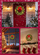 Brightown 24 Inch Pre-Lit Christmas Wreaths for Front Door, 50LED — 6