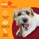 Nylabone Strong Chew Femur Bone Dog Toy, Dog Bone for Aggressive Chewers