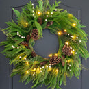 Pinkpuii Prelit Christmas Wreaths for Front Door 24 Inch- Real Touch Norfolk Pine Wreath with Lights,Green Evergreen Outdoor Xmas Wreath with Natural Pine Cones and Berries for Farmhouse Home Decor — 1