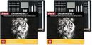 Aenir Charcoal Pencils for Drawing, Set of 22, Professional Drawing Sketch Pencils, Charcoal Art Supplies for Sketching, Shading, Artist Charcoal Supplies for Beginners & Pro Artists. (Pack of 2) | Pack of 44 | Graphite Pencil | Black & White — 1