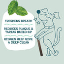 Shameless Pets Blueberry & Mint Dental Chews for Dogs, 8 Chews - Natural Dog…