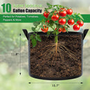 FEED GARDEN 10 Gallon Grow Bags 4 Pack – 300G Thickened Fabric Plant Pots with Reinforced Handles, Breathable Drainage Planters for Vegetables, Tomatoes, Herbs, Indoor & Outdoor Gardening — 2