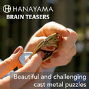BePuzzled | Infinity Hanayama Metal Brainteaser Puzzle Mensa Rated Level 6, for Ages 12 and Up — 5
