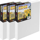 Creative Mark The Edge Deluxe Cotton 1-1/2" Deep Stretched Canvas for Painting, 12x12 Pack of 3, 14oz. Primed Weight, Universal Archival Priming, Medium Tooth, Hand-Stretched Canvas for Painters | 12x12" — 1