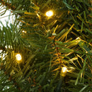 Casafield 24" Pre-Lit Fir Artificial Christmas Wreath Holiday Décor, 50 LED Lights, 200 PVC Tips for Front Door, Window, or Mantel — 6