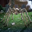 JOYIN 5ft Halloween Spider Outdoor Decorations, Scary Giant Large Spider Props for Halloween Outside Decor, Indoor Party Supplies and Yard Lawn Decoration, Brown — 3