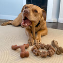 Nylabone Strong Chew Dog Toy 4-Pack, Durable Chew Toys, Large Dogs