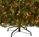National Tree Company 6ft Pre-Lit Dunhill Fir Artificial Christmas Tree — 3