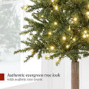 Best Choice Products Pencil Christmas Tree 6ft Pre-lit Alpine Slim Holiday Decoration, Lighted Skinny Décor LED Lights, Metal Stand — 6