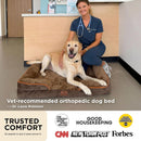 Brand Bedsure Orthopedic Dog Beds Large Sized Dog with Removable Washable Cover