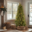 National Tree Company 6.5ft Pre-Lit Tiffany Fir Slim Christmas Tree — 2