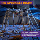 JOYIN 5ft Halloween Spider Outdoor Decorations, Scary Giant Large Spider Props for Halloween Outside Decor, Indoor Party Supplies and Yard Lawn Decoration, Brown — 6